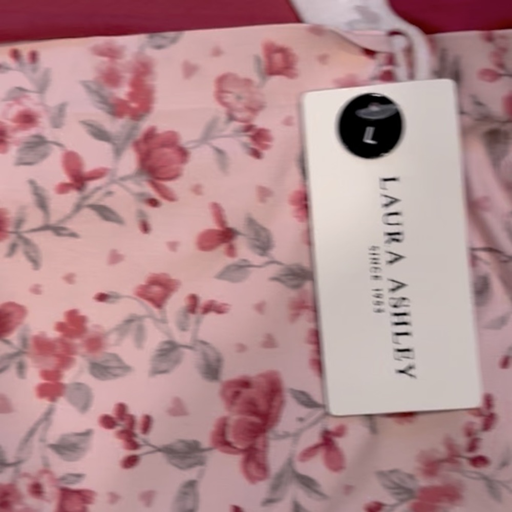 LAURA ASHLEY 5 Pack Super Soft No Show Panties Floral Pink NWT Large - Picture 3 of 13